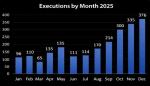 IRAN - Executions by Months (NCRI)