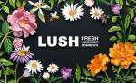 USA - Lush Cosmetics