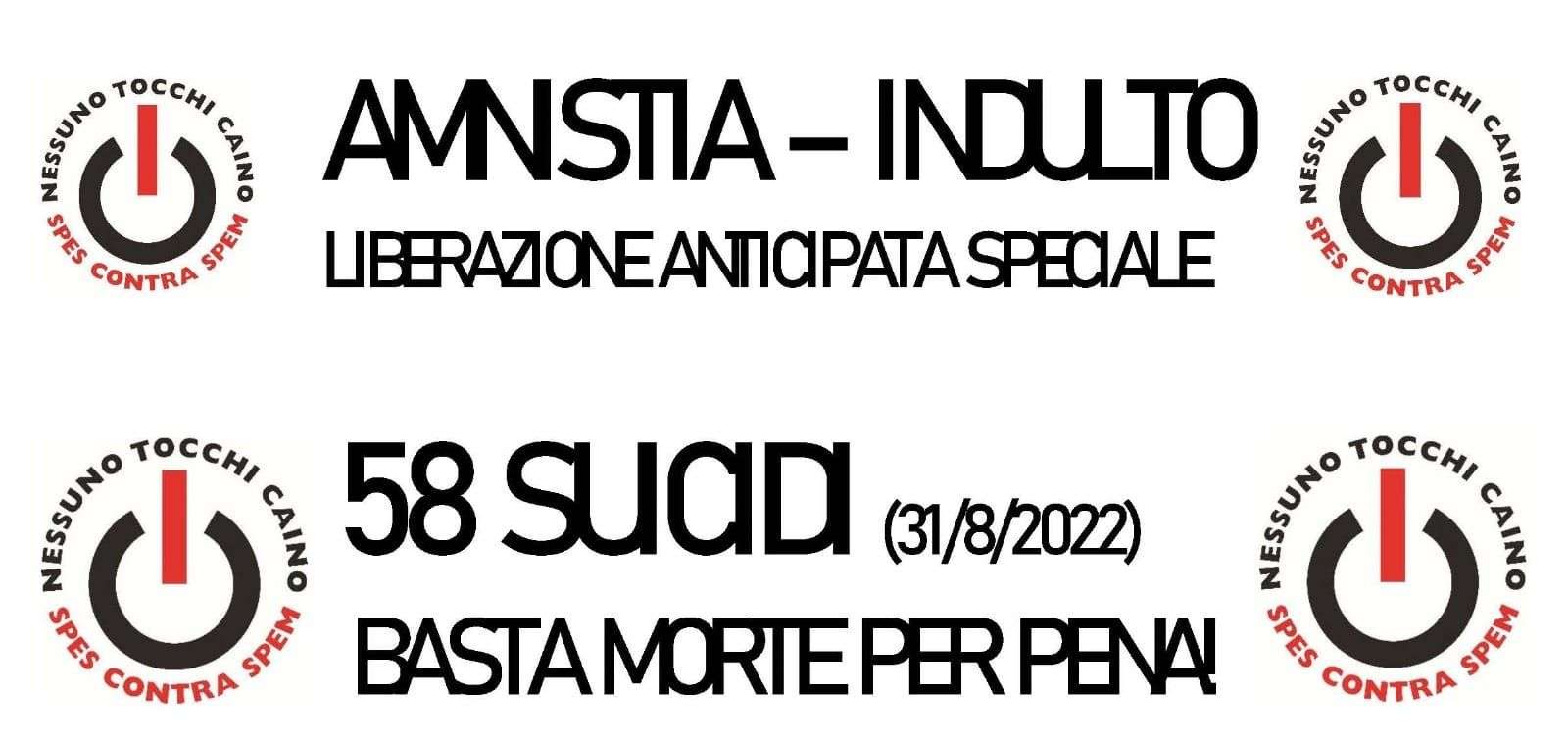 amnistia