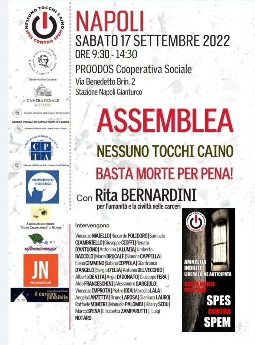 Napoli ntc