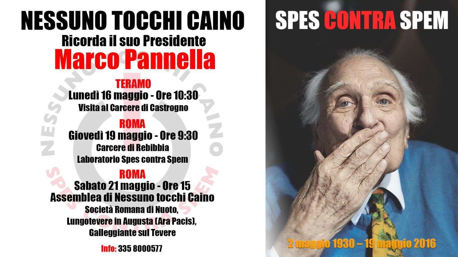 pannella